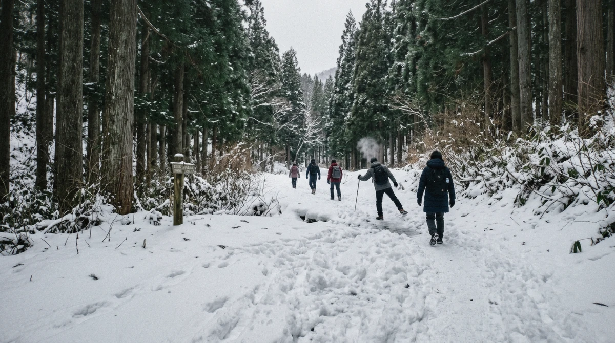 Snow-covered forest trail leading to Jigokudani Monkey Park, the icy 1.6 km walk visitors weigh when deciding if the park is worth visiting